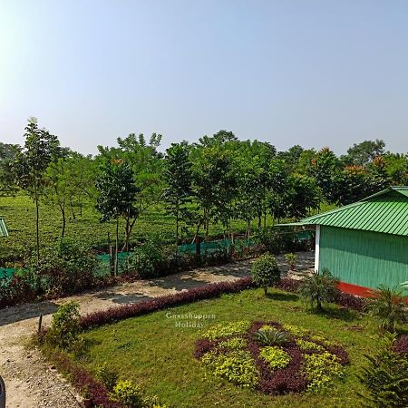 Grasshopper Jungle Queen Resort Chālsa Kültér fotó
