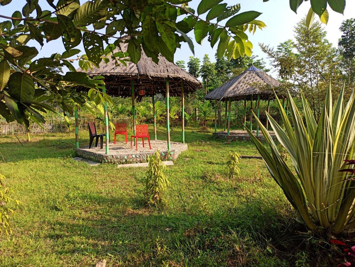 Grasshopper Jungle Queen Resort Chālsa Kültér fotó