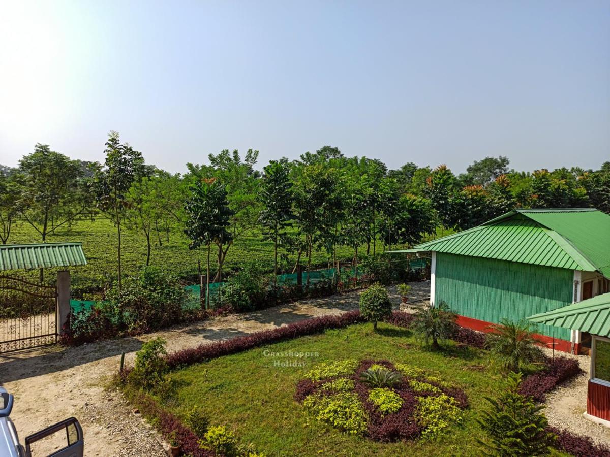 Grasshopper Jungle Queen Resort Chālsa Kültér fotó